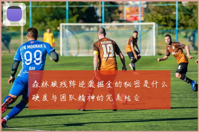 森林狼残阵逆袭掘金的秘密是什么硬度与团队精神的完美结合