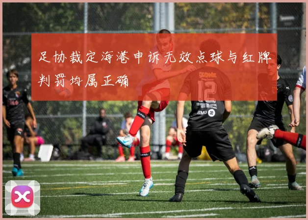 足协裁定海港申诉无效点球与红牌判罚均属正确